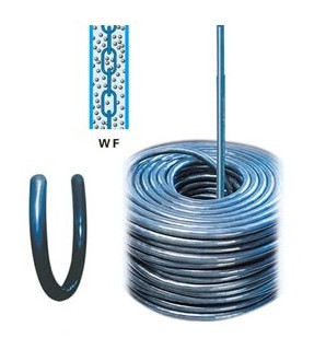 WF���M(j��n)���a(b��)���